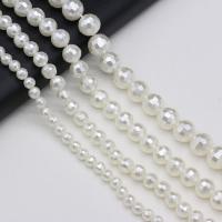 Shell Pearl Beads Round DIY & faceted white Sold Per Approx 38 cm Strand