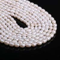 Riso coltivato in perla d'acqua dolce, perla d'acquadolce coltivata naturalmente, DIY, bianco, 5-6mm, Venduto per Appross. 38 cm filo