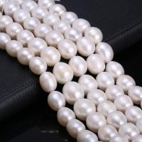 Bulvių išauginti gėlavandenių perlų karoliukai, Gėlo vandens perlų, Pasidaryk pats, baltas, 11-12mm, Parduota už Apytiksliai 38 cm Strand