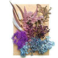 Muoti koriste kukkia, kuivattu kukka, tee-se-itse & eri tyylejä valinta, enemmän värejä valinta, 210x145mm, Myymät laukku