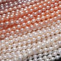 Riso coltivato in perla d'acqua dolce, perla d'acquadolce coltivata naturalmente, DIY, nessuno, 7-8mm, Venduto per 14.96 pollice filo