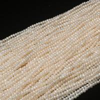 Bulvių išauginti gėlavandenių perlų karoliukai, Gėlo vandens perlų, elipsė, Pasidaryk pats, baltas, 2-3mm, Parduota už 15.75 Inch Strand