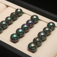 Half Drilled South Sea Shell Beads Shell Pearl Round plated DIY & half-drilled mixed colors Sold By Bag