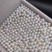 Přírodní sladkovodní perly perlí, Sladkovodní Pearl, Kolo, DIY, bílý, 3.5-4.5mm, Prodáno By PC