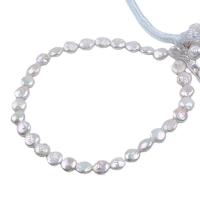 Cultured Coin Freshwater Pearl Beads Flat Round DIY white 11-12mm Sold Per 14.96 Inch Strand