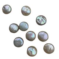 Přírodní sladkovodní perly perlí, Sladkovodní Pearl, Flat Round, DIY, bílý, 12mm, Prodáno By PC