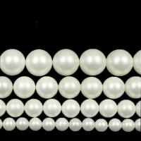 Muschelkern Perle, rund, DIY & verschiedene Größen vorhanden & satiniert, weiß, verkauft per 14.96 ZollInch Strang