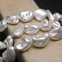 Muschelkern Perle, Keishi, DIY, weiß, frei von Nickel, Blei & Kadmium, 12-16mm, verkauft per 14.96 ZollInch Strang