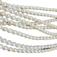 Cultured Round Freshwater Pearl Beads plated DIY white 8-9mm Sold Per Approx 38 cm Strand