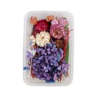Torkade blommor Konserverad Flower Box, handgjord, DIY & olika stilar för val, fler färger för val, 170x115mm, Säljs av Box