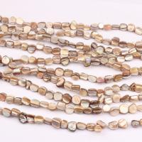 Naturlig Freshwater Shell Perler, du kan DIY, blandede farver, 2-15mm, Solgt Per Ca. 38 cm Strand