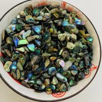 Abalone Schelp Kralen, gepolijst, DIY, gemengde kleuren, 8-10mm, Verkocht door Bag