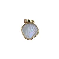 Natural White Shell Pendants gold color plated DIY golden Sold By PC