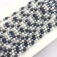 Shell Pearl Beads Round DIY Sold Per Approx 14.96 Inch Strand