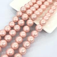 Shell Pearl Beads Round DIY Sold Per Approx 14.96 Inch Strand