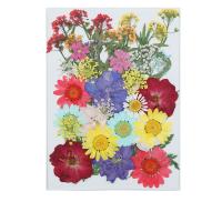 الزهور الاصطناعية ديكور المنزل, الزهور المجففة, ديي, 145x105mm, تباع بواسطة حقيبة