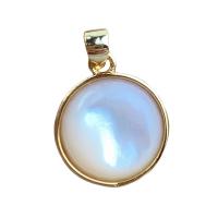 Natural White Shell Pendants, Brass, with White Shell, Round, gold color plated, DIY, golden, nickel, lead & cadmium free, 13mm, Sold By PC