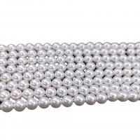 Ronde Gekweekte Zoetwater Parel kralen, Plastic Pearl, verschillende grootte voor keus, wit, Per verkocht Ca 15.7 inch Strand
