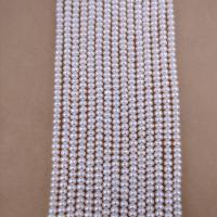 Knapp odlad sötvattenspärla pärlor, Freshwater Pearl, vit, 4mm, Såld Per Ca 14.96 inch Strand