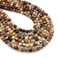 Zebra Jasper Beads Round DIY mixed colors Sold Per Approx 14.96 Inch Strand