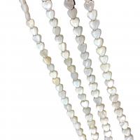 Naturlig Freshwater Shell Perler, Heart, du kan DIY, hvid, 7-7mm, Solgt Per Ca. 38 cm Strand