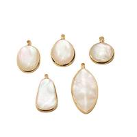 Natural White Shell Pendants Brass with White Shell gold color plated DIY nickel lead & cadmium free Sold By Lot