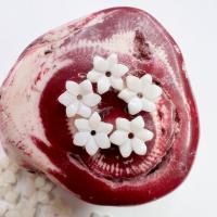 Freshwater Shell Bead Cap, Flower, Carved, du kan DIY, hvid, 8mm, Solgt af PC