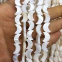 Natural Freshwater Shell Beads Moon DIY white Sold Per 15 Inch Strand