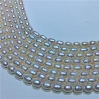 Collar de Perlas Natural de Freshwater, Perlas cultivadas de agua dulce, con metal, latón cierre de langosta, para mujer, Blanco, 7-8mm, longitud 37-40 cm, Vendido por UD