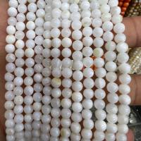 Naturlig Freshwater Shell Perler, Runde, du kan DIY, hvid, Solgt Per Ca. 40 cm Strand