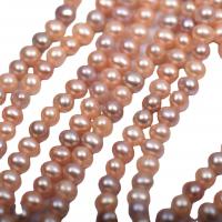 Apvalūs Kultūringas gėlavandenių perlų karoliukai, Gėlo vandens perlų, Pasidaryk pats, rausvai oranžinės spalvos, 5-6mm, Parduota už 36-38 cm Strand