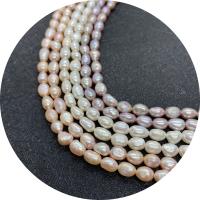 Cultured Rice Freshwater Pearl Beads Ellipse polished DIY white Sold Per Approx 14.96 Inch Strand