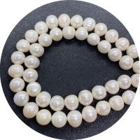 Kulaté kultivované sladkovodní perle, Sladkovodní Pearl, Kolo, lesklý, DIY & různé velikosti pro výběr, bílý, Prodáno za Cca 14.96 inch Strand