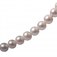Apvalūs Kultūringas gėlavandenių perlų karoliukai, Gėlo vandens perlų, Pasidaryk pats, baltas, 10-11mm, Parduota už 39-40 cm Strand