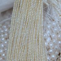Apvalūs Kultūringas gėlavandenių perlų karoliukai, Gėlo vandens perlų, Pasidaryk pats, baltas, 2.50mm, Parduota už Apytiksliai 36-38 cm Strand