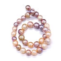 Perlas Cultivadas Nucleadas de Agua Dulce, Esférico, Natural & Bricolaje, rosa púrpura, 11-12mm, Vendido para 36-40 cm Sarta