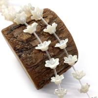 Naturalne białe koraliki z muszli, Muszla, Kwiat, DIY, biały, 5x12mm, sprzedane przez PC