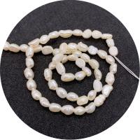 Keishi kultivované sladkovodní perle, Sladkovodní Pearl, Nepravidelné, lesklý, DIY, bílý, 4-5mm, Prodáno za Cca 14.96 inch Strand