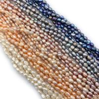 Cultured Rice Freshwater Pearl Beads irregular polished DIY Sold Per Approx 14.96 Inch Strand