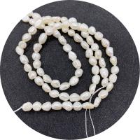 Keishi ferskvandskulturperle Beads, Ferskvandsperle, Uregelmæssig, poleret, du kan DIY & forskellig størrelse for valg, hvid, Solgt Per Ca. 14.96 inch Strand