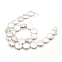 Monetų Kultūringas gėlavandenių perlų karoliukai, Gėlo vandens perlų, Turas, poliruotas, Pasidaryk pats, baltas, 16-17mm, Parduota už Apytiksliai 14.96 Inch Strand