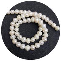 Brambor pěstované sladkovodní perle, Sladkovodní Pearl, DIY & různé velikosti pro výběr, bílý, Prodáno za Cca 14.96 inch Strand