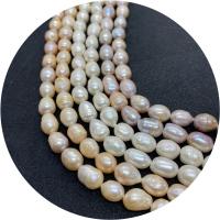 Perlas Arroz Freshwater, Perlas cultivadas de agua dulce, pulido, Bricolaje & diverso tamaño para la opción, más colores para la opción, Vendido para aproximado 14.96 Inch Sarta