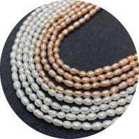 Cultured Rice Freshwater Pearl Beads polished DIY Sold Per Approx 14.96 Inch Strand