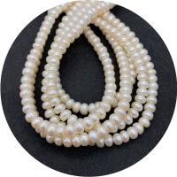 Cultured Button Freshwater Pearl Beads Flat Round polished DIY white Sold Per Approx 14.96 Inch Strand