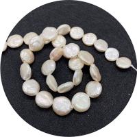 Grânulos pérolas de água doce cultivados da moeda, Roda, polido, DIY, branco, 11-12mm, vendido para Aprox 14.96 inchaltura Strand