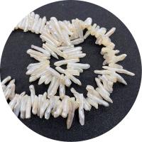 Koraliki Keishi z hodowlanych pereł słodkowodnych, Perła naturalna słodkowodna, Nieregularne, obyty, DIY, biały, 3x10-5x20mm, sprzedawane na około 14.96 cal Strand
