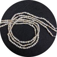Keishi ferskvandskulturperle Beads, Ferskvandsperle, Uregelmæssig, poleret, du kan DIY, 3-4mm, Solgt Per Ca. 14.96 inch Strand