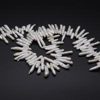 Cultured Biwa Freshwater Pearl Beads irregular polished DIY white 3x15- Sold Per Approx 14.96 Inch Strand