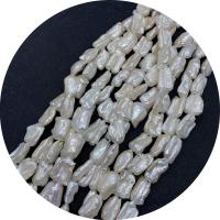 Hodowlane perły słodkowodne, Perła naturalna słodkowodna, Nieregularne, obyty, DIY, biały, 15x23-16x25mm, sprzedawane na około 14.96 cal Strand